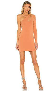 Product image of Lovers and Friends Johnson Mini Dress. Click to view full details