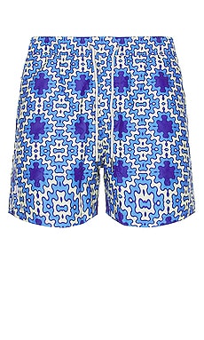 Azul Swim Shorts OAS