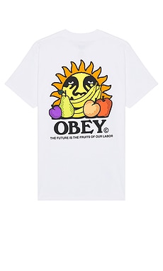 Obey