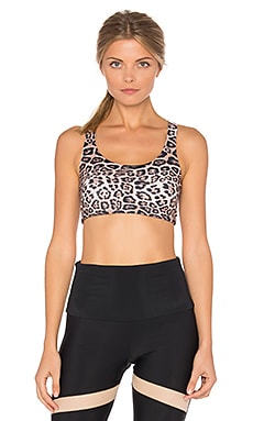 Onzie Chic Bra - Leopard in Leopard