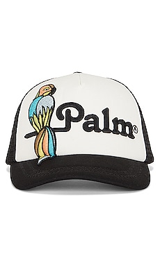Parrot Cap Palm Angels