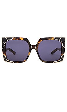 Pared Eyewear