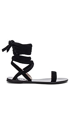 Sal Sandal