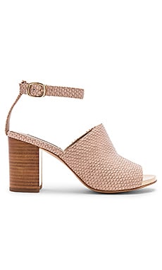 RACHEL ZOE