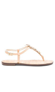 Sam Edelman