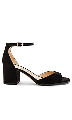 Sam Edelman