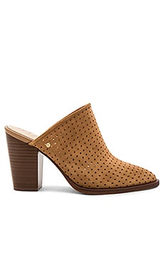 Sam Edelman
