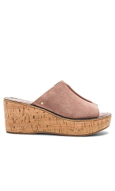 Sam edelman best sale dusty rose