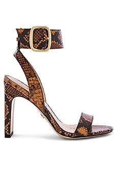 Sam Edelman