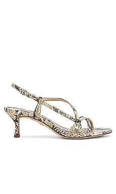 Sam Edelman Judy Sandal in Beach Multi Snake REVOLVE