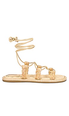 Product image of Sam Edelman Zariah 2 Sandal. Click to view full details
