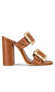 Schutz