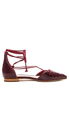 Schutz