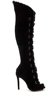 Schutz