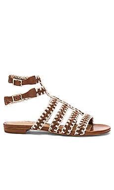 Schutz