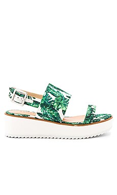 Schutz