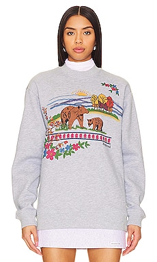 Polo Ralph Lauren Bear Sweatshirt in Andover Heather | REVOLVE
