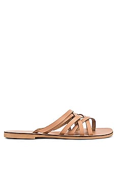 seychelles bright eyed flip flop