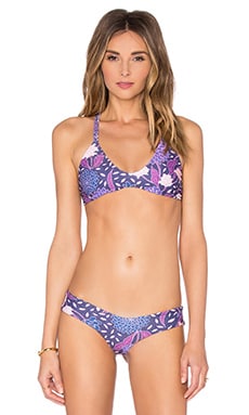Stone Fox Swim