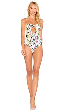 Stone Fox Swim