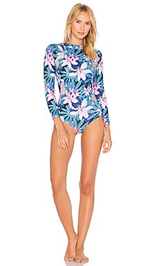 Stone Fox Swim