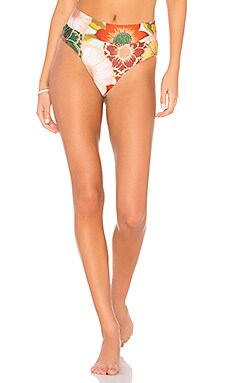 Stone Fox Swim
