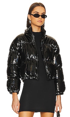Product image of Steve Madden Eden Jacket. Click to view full details