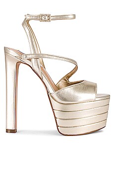 Steve Madden