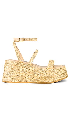 Steve Madden