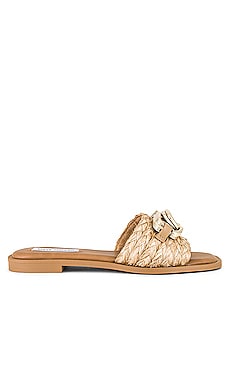 Steve Madden