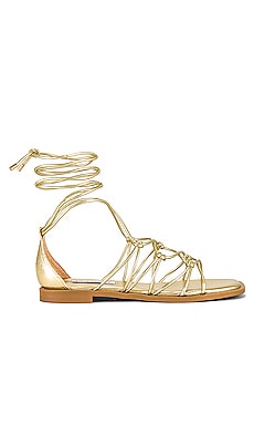 Steve Madden