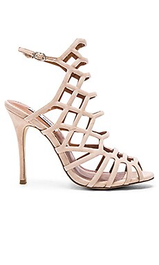 Steve madden hot sale heels slithur