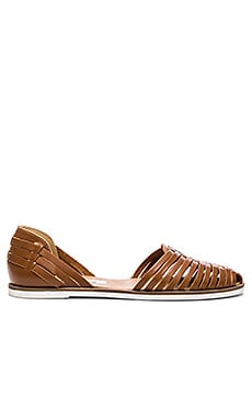 Steve Madden