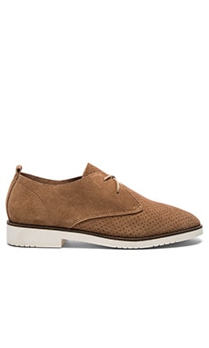 Steve Madden