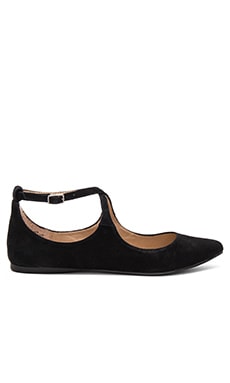 Steve Madden