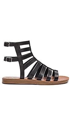 Steve Madden