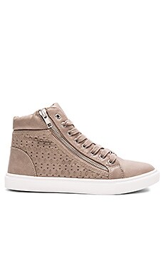 Steve Madden