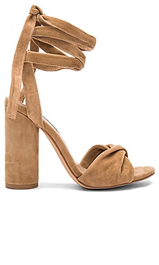 Product image of Steve Madden Clary Heel. Click to view full details