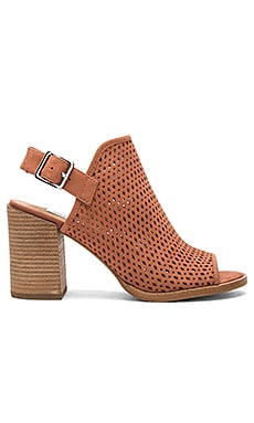 Steve Madden