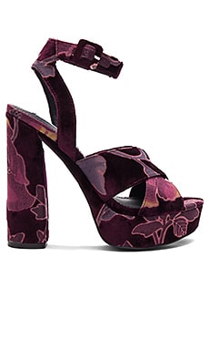 Steve Madden