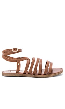 Steve Madden