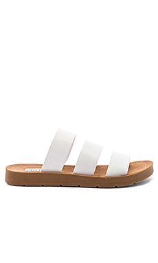 Steve madden 2024 pascale sandal