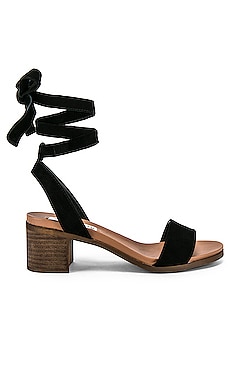 

Сандалии adrianne - Steve Madden, Черный, Открытый носок