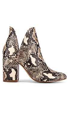 Steve madden hot sale rookie snake