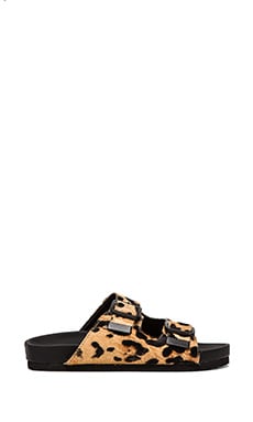 Steve Madden Boundree Sandal In Leopard Pony Revolve