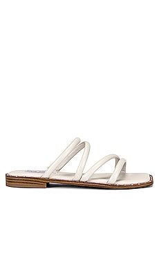 Product image of Steve Madden Starie Sandal. Click to view full details
