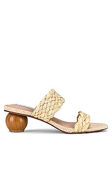 Steve Madden
