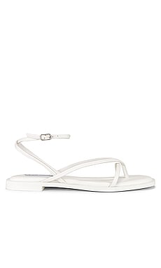 Product image of Steve Madden Agree Sandal. Click to view full details