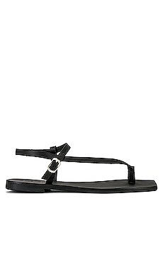 Product image of Sol Sana Lexus Sandal. Click to view full details