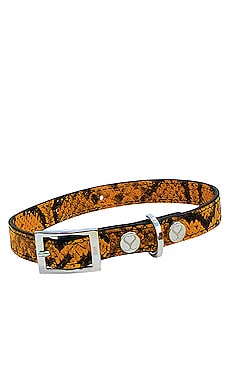 Product image of Shaya Pets The Taylor Medium Collar. Click to view full details